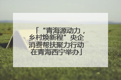 “青海源动力，乡村焕新程”央企消费帮扶聚力行动在青海西宁举办