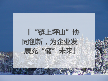 “链上坪山”协同创新，为企业发展充“储”未来