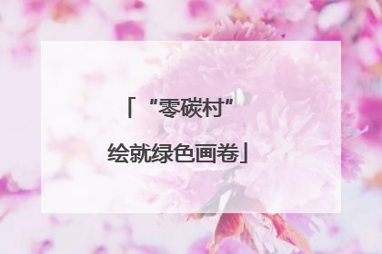 “零碳村” 绘就绿色画卷
