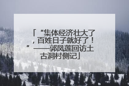 “集体经济壮大了，百姓日子就好了！”——郭凤莲回访土古洞村侧记