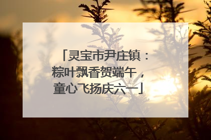 灵宝市尹庄镇：粽叶飘香贺端午，童心飞扬庆六一