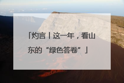 灼言丨这一年，看山东的“绿色答卷”