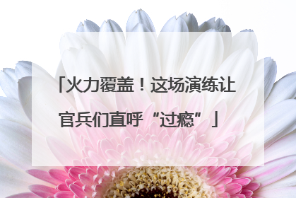 火力覆盖！这场演练让官兵们直呼“过瘾”