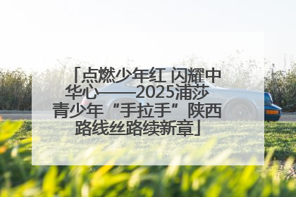 点燃少年红 闪耀中华心——2025浦莎青少年“手拉手”陕西路线丝路续新章