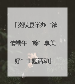 炎陵县举办“浓情端午‘粽’享美好”主题活动