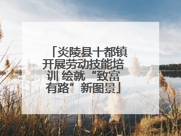 炎陵县十都镇开展劳动技能培训 绘就“致富有路”新图景