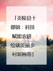 炎陵县十都镇：科技赋能农耕 绘就美丽乡村新画卷