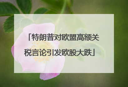 特朗普对欧盟高额关税言论引发欧股大跌