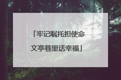 牢记嘱托担使命 文亭巷里话幸福