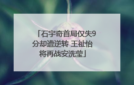 石宇奇首局仅失9分却遭逆转 王祉怡将再战安洗莹