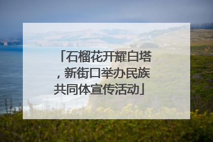 石榴花开耀白塔，新街口举办民族共同体宣传活动