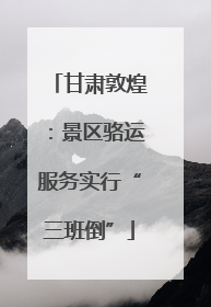 甘肃敦煌：景区骆运服务实行“三班倒”