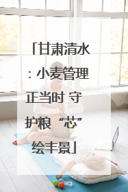 甘肃清水：小麦管理正当时 守护粮“芯”绘丰景