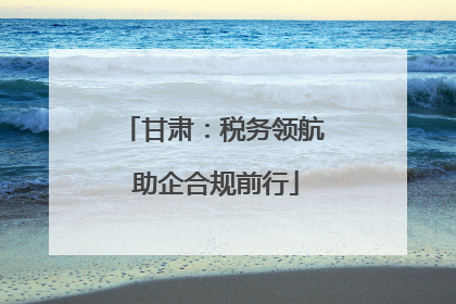 甘肃：税务领航 助企合规前行