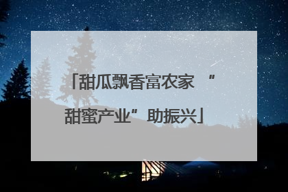 甜瓜飘香富农家 “甜蜜产业”助振兴
