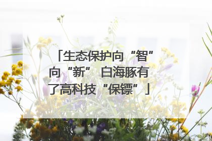 生态保护向“智”向“新” 白海豚有了高科技“保镖”