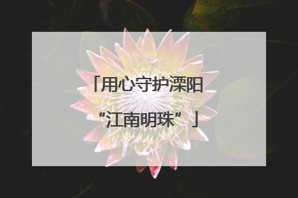 用心守护溧阳“江南明珠”