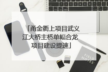 甬金衢上项目武义江大桥主桥单幅合龙 项目建设提速