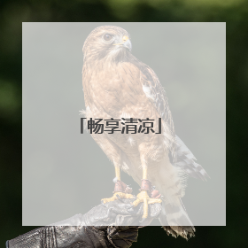 畅享清凉