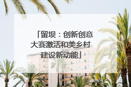 留坝：创新创意大赛激活和美乡村建设新动能