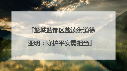 盐城盐都区盐渎街道徐亚明：守护平安勇担当