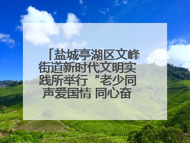 盐城亭湖区文峰街道新时代文明实践所举行“老少同声爱国情 同心奋进新征程”为主题的红色文化活动