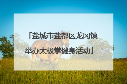盐城市盐都区龙冈镇举办太极拳健身活动