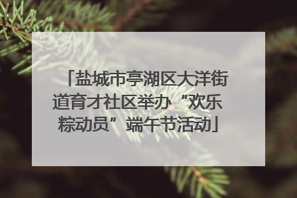 盐城市亭湖区大洋街道育才社区举办“欢乐粽动员”端午节活动