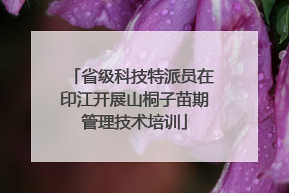 省级科技特派员在印江开展山桐子苗期管理技术培训