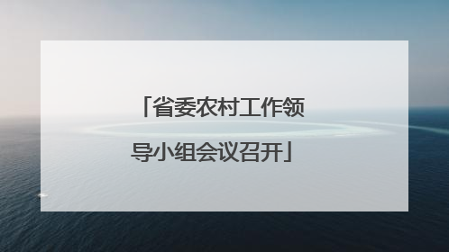 省委农村工作领导小组会议召开
