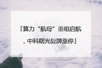 算力“航母”重组启航，中科曙光复牌涨停