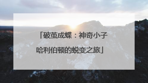 破茧成蝶：神奇小子哈利伯顿的蜕变之旅