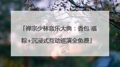 禅宗少林音乐大典：香包 福粽+沉浸式互动巡演全免费