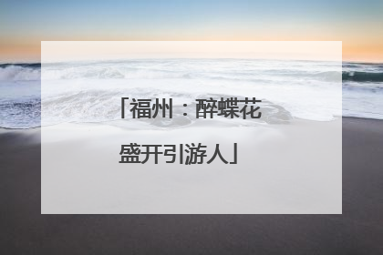 福州：醉蝶花盛开引游人