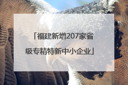 福建新增207家省级专精特新中小企业