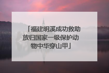 福建明溪成功救助放归国家一级保护动物中华穿山甲
