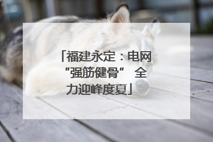 福建永定：电网“强筋健骨” 全力迎峰度夏