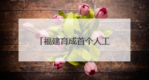 福建育成首个人工杂交早熟黄桃品种