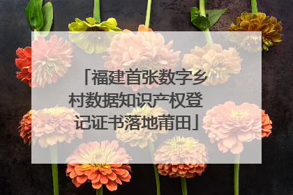 福建首张数字乡村数据知识产权登记证书落地莆田