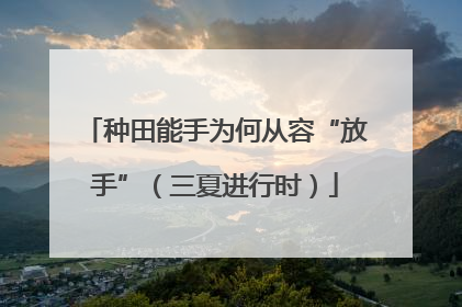 种田能手为何从容“放手”（三夏进行时）