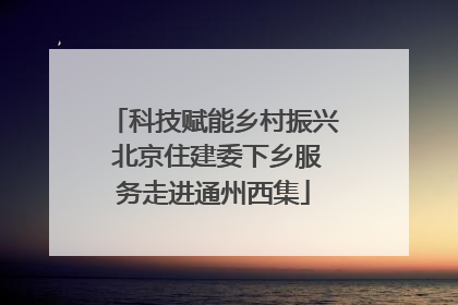科技赋能乡村振兴 北京住建委下乡服务走进通州西集