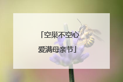 空巢不空心 爱满母亲节