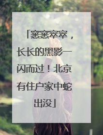 窸窸窣窣，长长的黑影一闪而过！北京有住户家中蛇出没