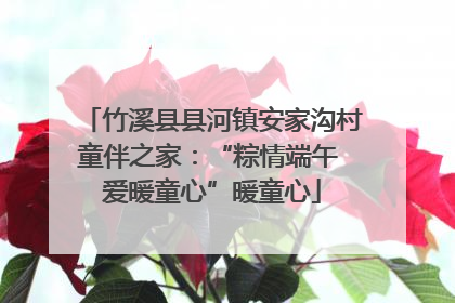 竹溪县县河镇安家沟村童伴之家：“粽情端午 爱暖童心”暖童心