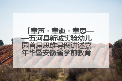 童声・童趣・童思——五河县新城实验幼儿园首届思维导图讲述嘉年华暨安徽省学前教育教研基地园项目阶段性成果展示活动