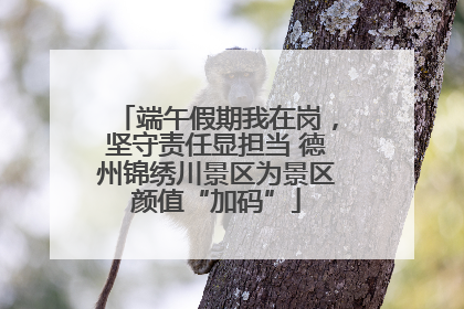 端午假期我在岗，坚守责任显担当 德州锦绣川景区为景区颜值“加码”