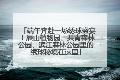端午奔赴一场绣球盛宴！辰山植物园、共青森林公园、滨江森林公园里的绣球秘境在这里