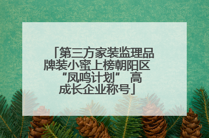 第三方家装监理品牌装小蜜上榜朝阳区 “凤鸣计划” 高成长企业称号