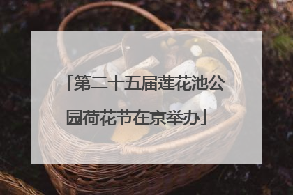 第二十五届莲花池公园荷花节在京举办