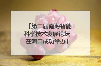 第二届南海智能科学技术发展论坛在海口成功举办